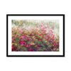 Pretty in Pink 7 Framed & Mounted Print