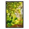 Sonoma Spring Forest Vineyard Framed Canvas