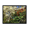 Red Camellias in a Tree of White Blossoms 1 Framed Print