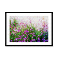 Pretty in Pink  14 - Sarlat-la-Canéda France Framed & Mounted Print