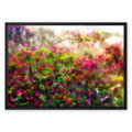 Pretty in Pink 29 Framed Canvas