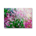 Pretty in Pink 32 Canvas
