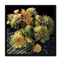 Succulents - Outdoor Still Life Dana Point Framed Print