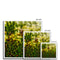 Weeds 11 Framed Print