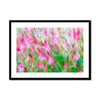 Pretty in Pink15 - Sarlat-la-Canéda France Framed & Mounted Print