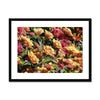 Flower Cups 5 Framed & Mounted Print
