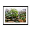Age of the Dinosaurs - Zilker Botanical Garden Austin Framed & Mounted Print