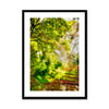 Sonoma Spring Forest Vinyard Framed & Mounted Print