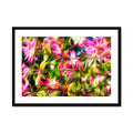 Orchid Tree Blossoms Framed & Mounted Print