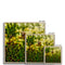 Weeds 11 Framed Print