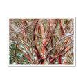 Coral Bark Trees 6 Savannah Winter 2015 Framed Print
