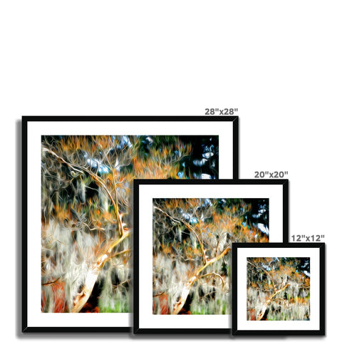 Live Oaks in the Garden of Good and Evil Framed & Mounted Print